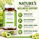 amla-capsules-100-organic-immunity-enhan-4.jpg