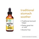 botanic-choice-liquid-extract-ginger-roo-4.jpg