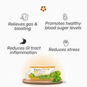 rhoziva-digest-gut-health-supplement-wit-2.jpg