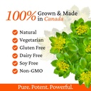 rhoziva-digest-gut-health-supplement-wit-6.jpg