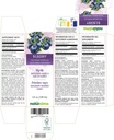 naturalma-bilberry-or-european-blueberry-2.jpg