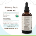 herbera-bilberry-fruit-b120-usda-organic-3.jpg