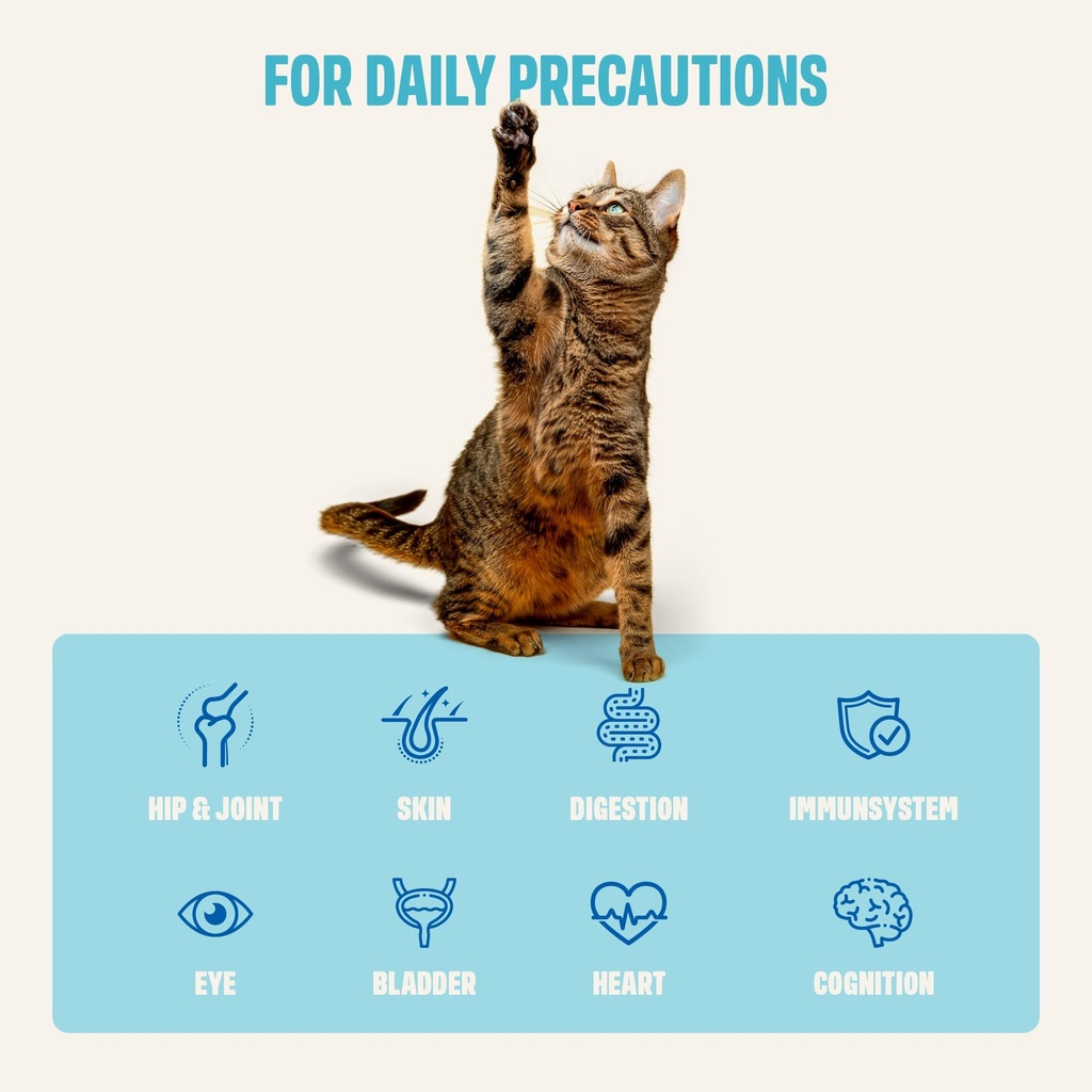 ivvi-multivitamin-for-cats-creamy-lickab-3.jpg