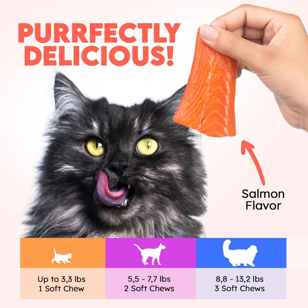 cat-vitamins-for-indoor-outdoor-pets-200-6.jpg