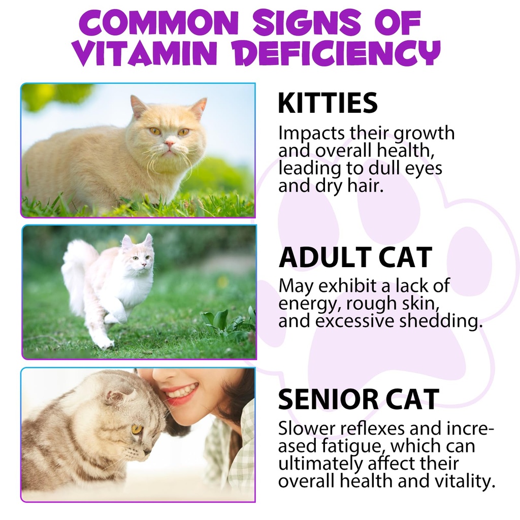 cat-multivitamin-15-in-1-cat-vitamins-li-3.jpg