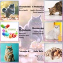 cat-multivitamin-15-in-1-cat-vitamins-li-6.jpg