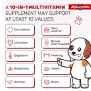 liquid-multivitamin-for-dogs-cat-multivi-2.jpg