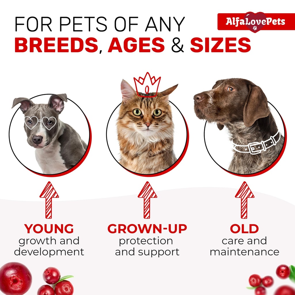 liquid-multivitamin-for-dogs-cat-multivi-5.jpg