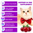 cat-multivitamin-15-in-1-cat-multivitami-2.jpg