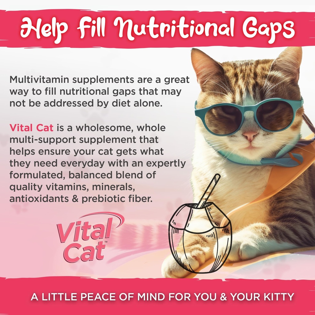 vital-planet-vital-cat-multi-vitamin-min-6.jpg