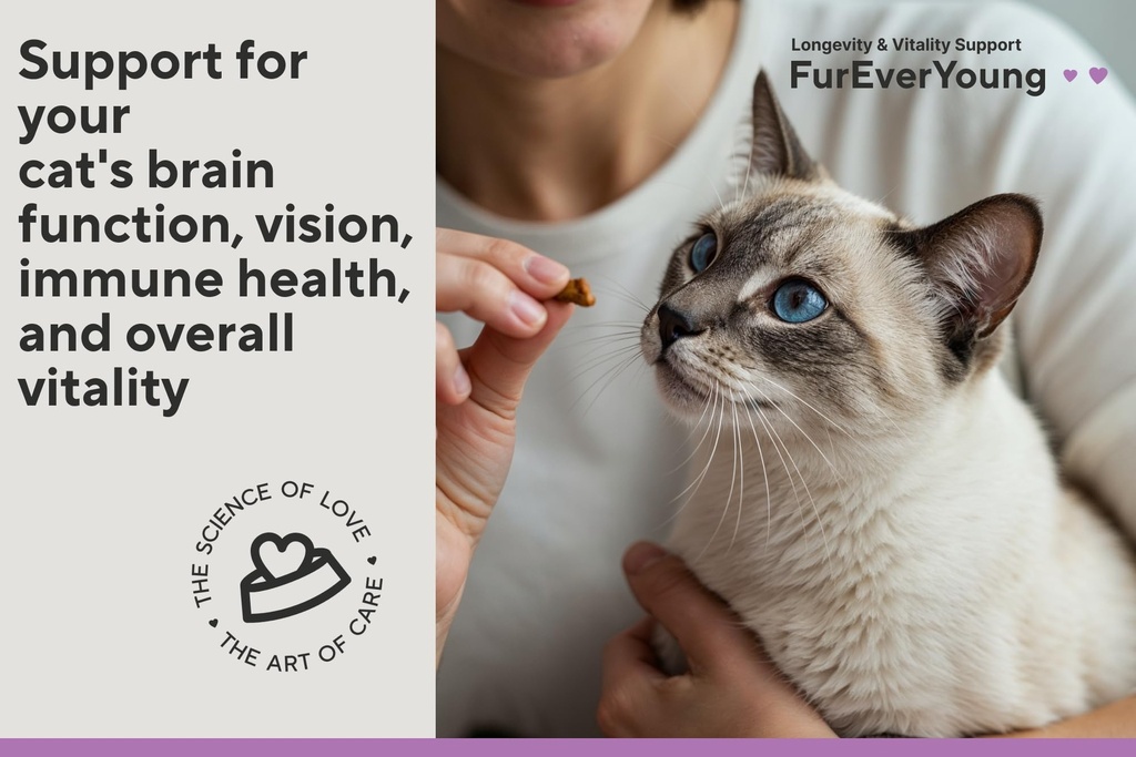 supplement-treats-for-senior-cats-vision-4.jpg