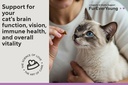 supplement-treats-for-senior-cats-vision-4.jpg