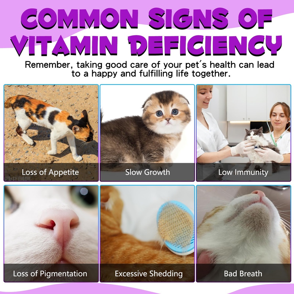 cat-vitamins-15-in-1-cat-multivitamin-li-5.jpg