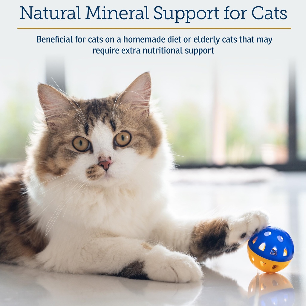 rx-vitamins-feline-minerals-taurine-for--2.jpg