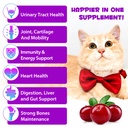 cat-multivitamin-15-in-1-cat-vitamins-an-6.jpg