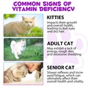 cat-multivitamin-15-in-1-cat-vitamins-an-4.jpg