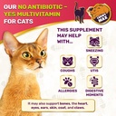 cat-multivitamin-complex-with-turkey-fla-4.jpg
