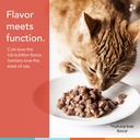 cat-vitamins-spectrin-16-oz-liquid-vitam-4.jpg