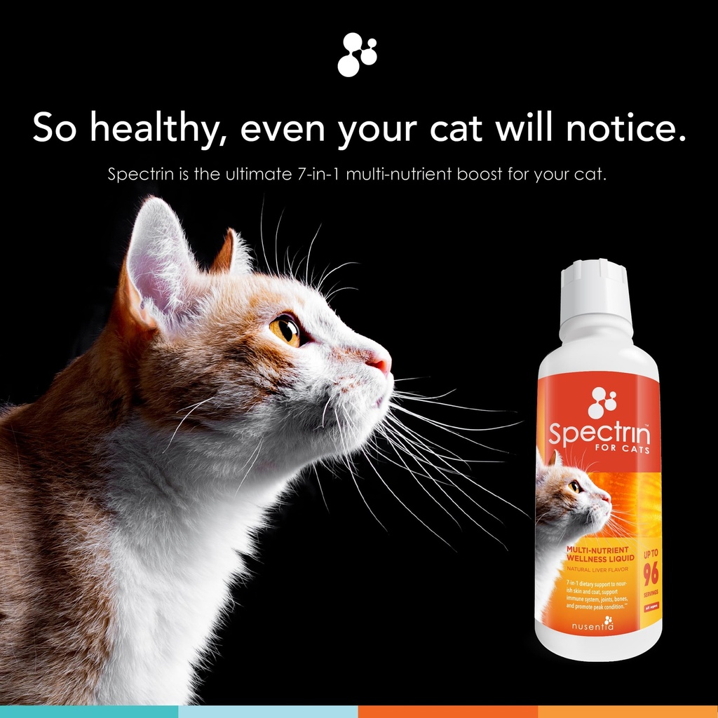 cat-vitamins-spectrin-16-oz-liquid-vitam-2.jpg