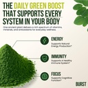 burst-moringa-powder-organic-150g-wild-h-2.jpg