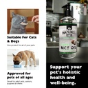 nature-s-diet-organic-mct-oil-for-dogs-a-6.jpg