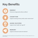 brainmd-dr-amen-brain-mct-energy-16-fl-o-4.jpg