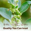 micro-ingredients-ashwagandha-supplement-5.jpg