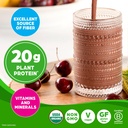 orgain-organic-vegan-meal-replacement-pr-4.jpg