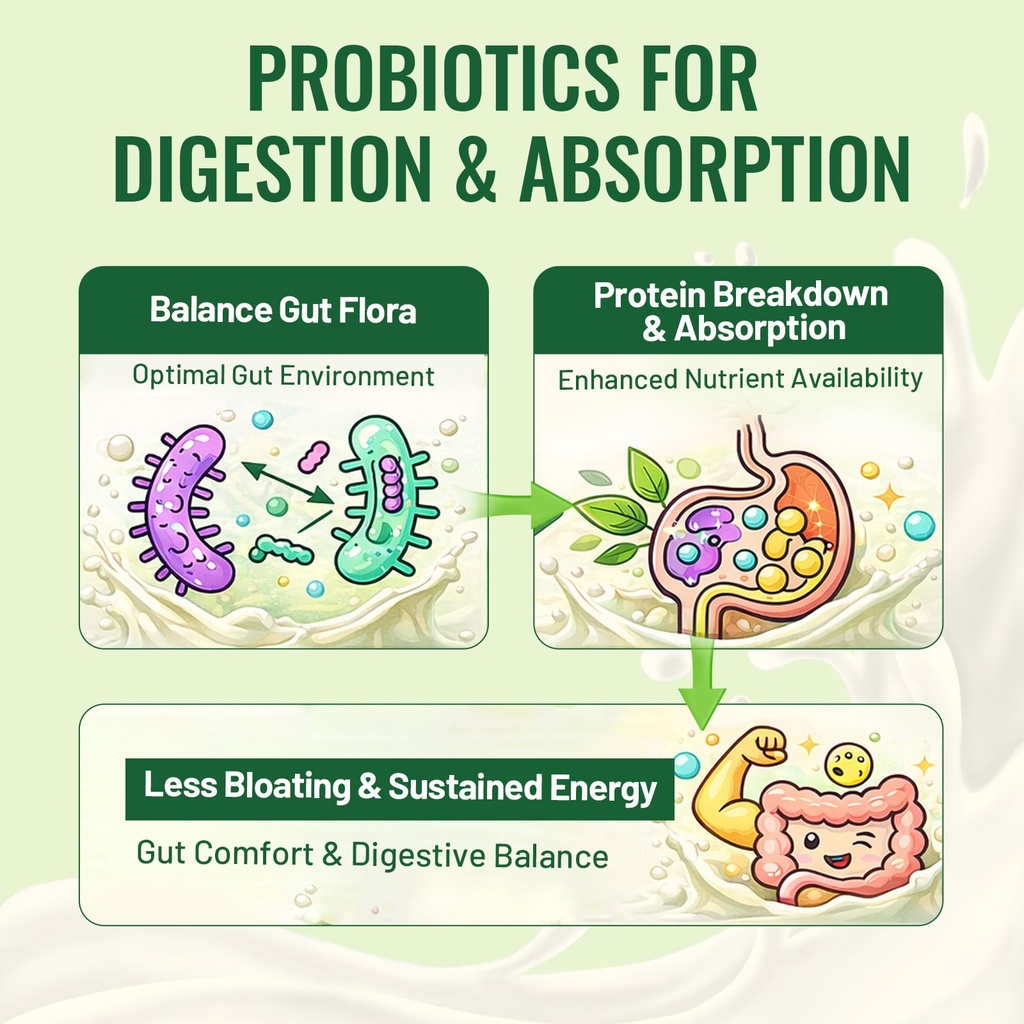 30g-organic-vegan-protein-powder-plant-b-2.jpg