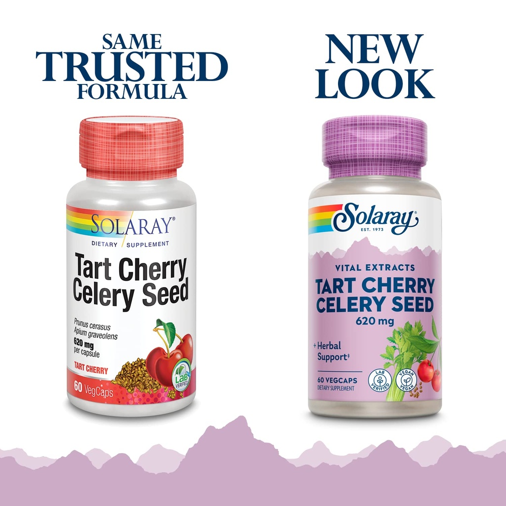 solaray-tart-cherry-and-celery-seed-tart-3.jpg