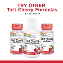 solaray-tart-cherry-and-celery-seed-tart-5.jpg