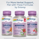 solaray-super-bio-turmeric-curcumin-supp-6.jpg