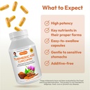 andrew-lessman-turmeric-400mg-60-capsule-4.jpg