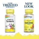 solaray-fermented-turmeric-root-500mg-10-2.jpg