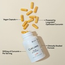 longvida-curcumin-500-mg-60-capsules-hig-4.jpg