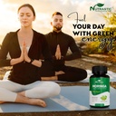organic-moringa-supplement-500mg-drumsti-5.jpg