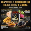 himalayan-natural-shilajit-gummies-for-m-4.jpg