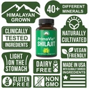 primavie-purified-shilajit-capsules-made-3.jpg