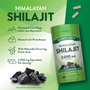nature-s-truth-shilajit-capsules-60-coun-5.jpg