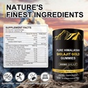 shilajit-gummies-3000mg-himalayan-shilaj-2.jpg