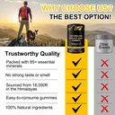 shilajit-gummies-3000mg-himalayan-shilaj-3.jpg