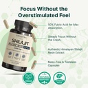 vinatura-shilajit-for-men-and-women-1000-4.jpg