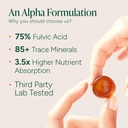 root-labs-10-in-1-alpha-shilajit-gummies-3.jpg