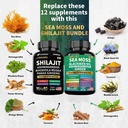 shilajit-and-sea-moss-ashwagandha-combo--4.jpg