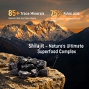 shilajit-gummies-4500mg-14-in-1-himalaya-2.jpg