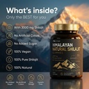 himalayan-natural-shilajit-gummies-3000m-2.jpg