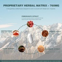 shilajit-supplement-for-men-women-1300mg-3.jpg