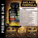 shilajit-capsules-8-in-1-himalayan-shila-5.jpg
