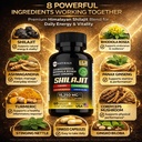 shilajit-capsules-8-in-1-himalayan-shila-3.jpg