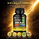 shilajit-capsules-8-in-1-himalayan-shila-2.jpg